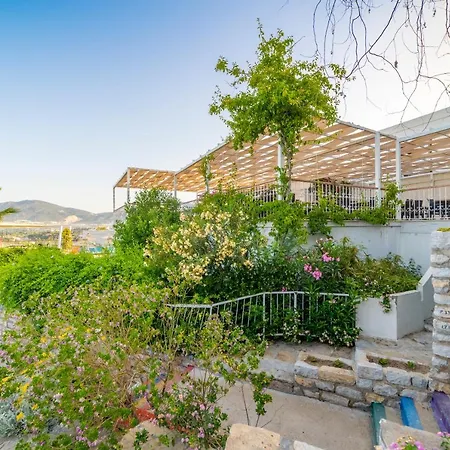 Riva Bodrum Resort- Adult Only +16 Hotel Gümbet