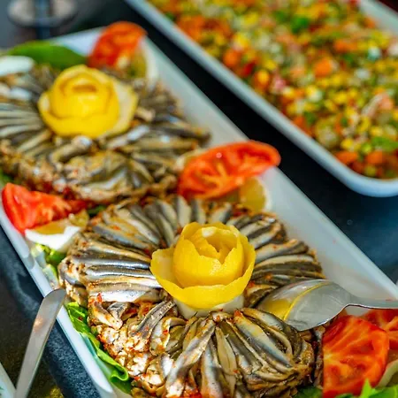 Riva Bodrum Resort- Adult Only +16 Hotel