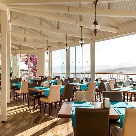 酒店 Riva Bodrum Resort- Adult Only +16