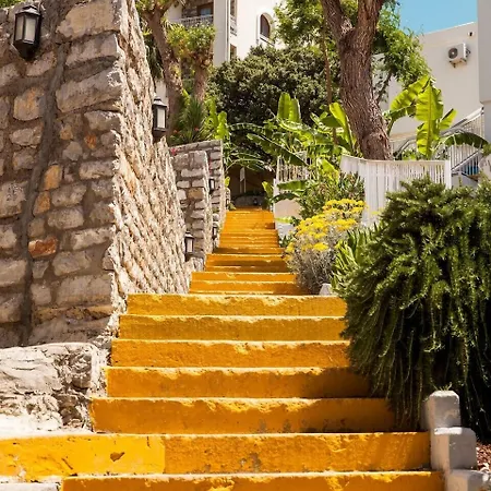 酒店 Riva Bodrum Resort- Adult Only +16 居姆贝特