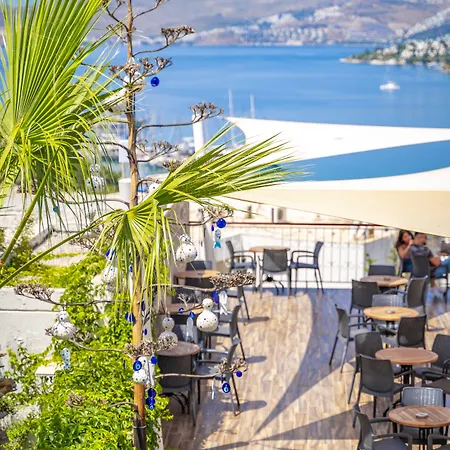 Riva Bodrum Resort- Adult Only +16 居姆贝特