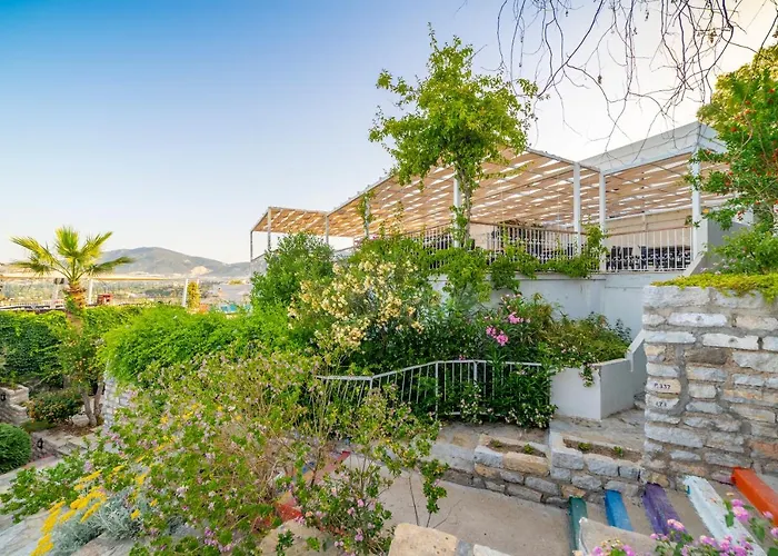 Riva Bodrum Resort- Adult Only +16 Hotel Gümbet