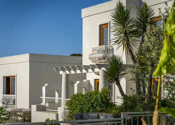 Riva Bodrum Resort- Adult Only +16 Hotel Gümbet