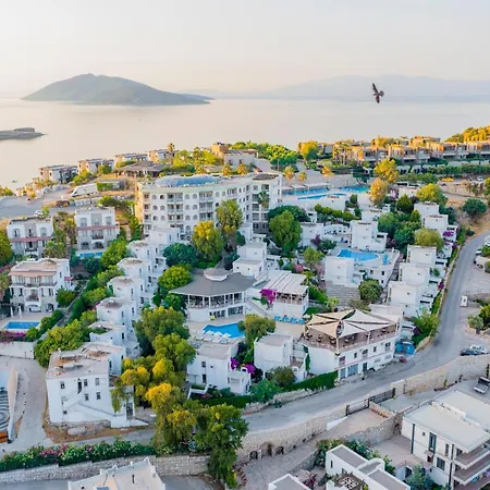 Отель Riva Bodrum Resort- Adult Only +16 3*