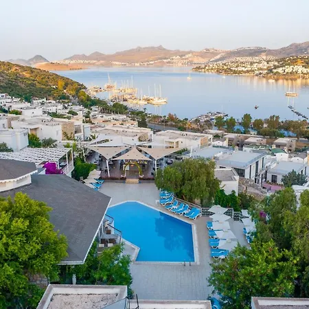 Riva Bodrum Resort- Adult Only +16 Отель Гумбет