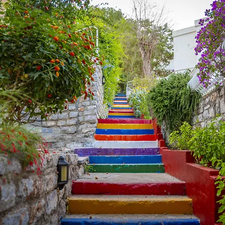 Riva Bodrum Resort- Adult Only +16 3* Гумбет