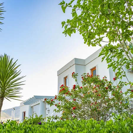 ホテル Riva Bodrum Resort- Adult Only +16 3*