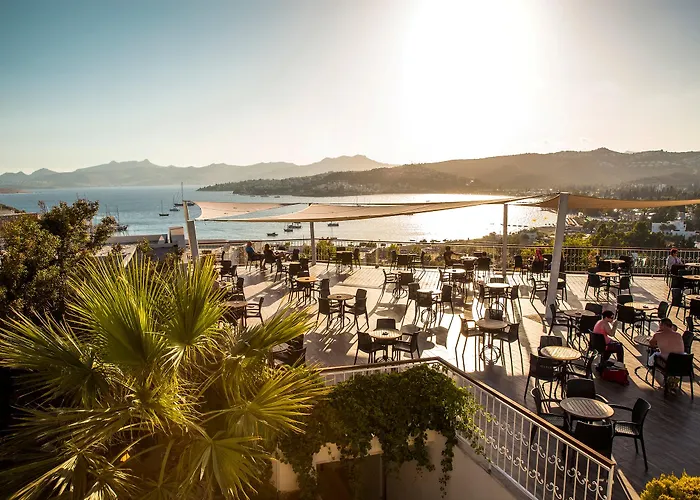 Otel Riva Bodrum Resort- Adult Only +16